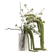 Plant893
