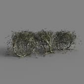 150 hedge v3