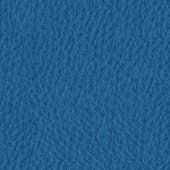 blue  leather 5