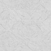 TilesMarbleCarraraHoned001