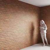 Brick 5