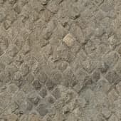 stone  pavement 19