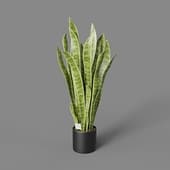 Искусственное растение Sansevieria Bush 80 cm
