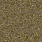 Ground Rocky0 06