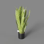 Искусственное растение Sansevieria Bush 80 cm (2)