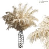 Dry Flowers