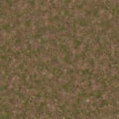 Ground GrassGreenPatchy0 01