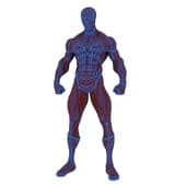 spiderman Мускулистый персонаж (Hero Character)