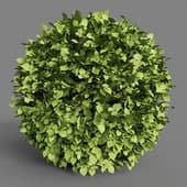 Spherical Hedge 2