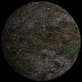 FORESTROAD-03