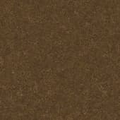Ground GrassBrown0 04