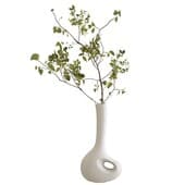 Plant860