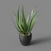 Искусственное растение Aloe 67 cm (1)