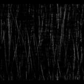 Scratches_16