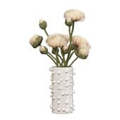 Plant874