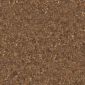 Ground Rocky0 03