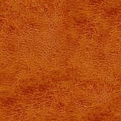 brown  leather 10