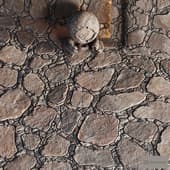 12 Slate Floor Stone | PBR | 4K | PNG | Seamless
