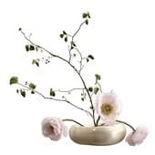 Plant875