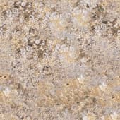 beige  rough stone