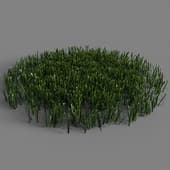 014 simple grass medium v2