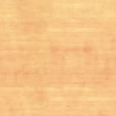light shiny wood 4