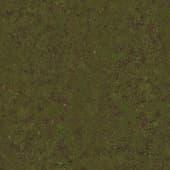 Ground DirtForest0 06
