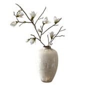 Plant851