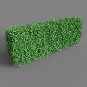 Straight Hedge