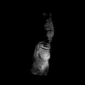 Finger_Print_11