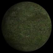 Grass meadow