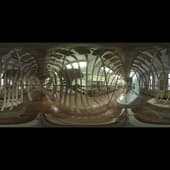 whale_skeleton_4k