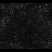 Stains_Liquid_07