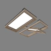 Window for roofs