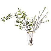 plant00343