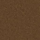 Ground DirtForestMulch0 01