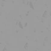 snow  with footprints 3