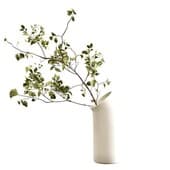 Plant280