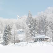Фон 14