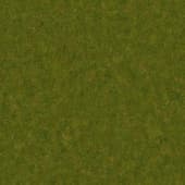 Ground GrassGreen0 05