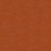 brown  leather 16