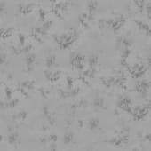 snow  covering grass 4