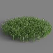 105 simple grass large v3
