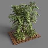 Garden Set Tropical Bush and Tree for outdoor