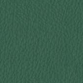 green  leather 2