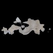 Plaster_Damage_Decals_62