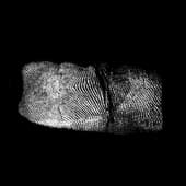 Finger_Print_20