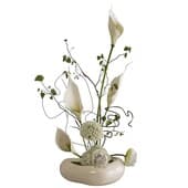 Plant850