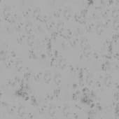snow  with footprints 2