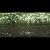 Creekside
